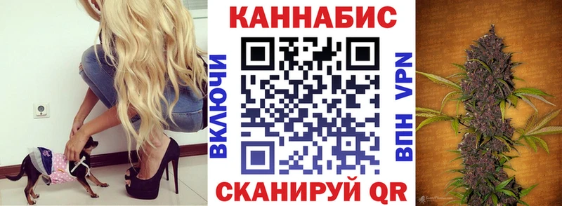 Шишки марихуана MAZAR  Полярный 
